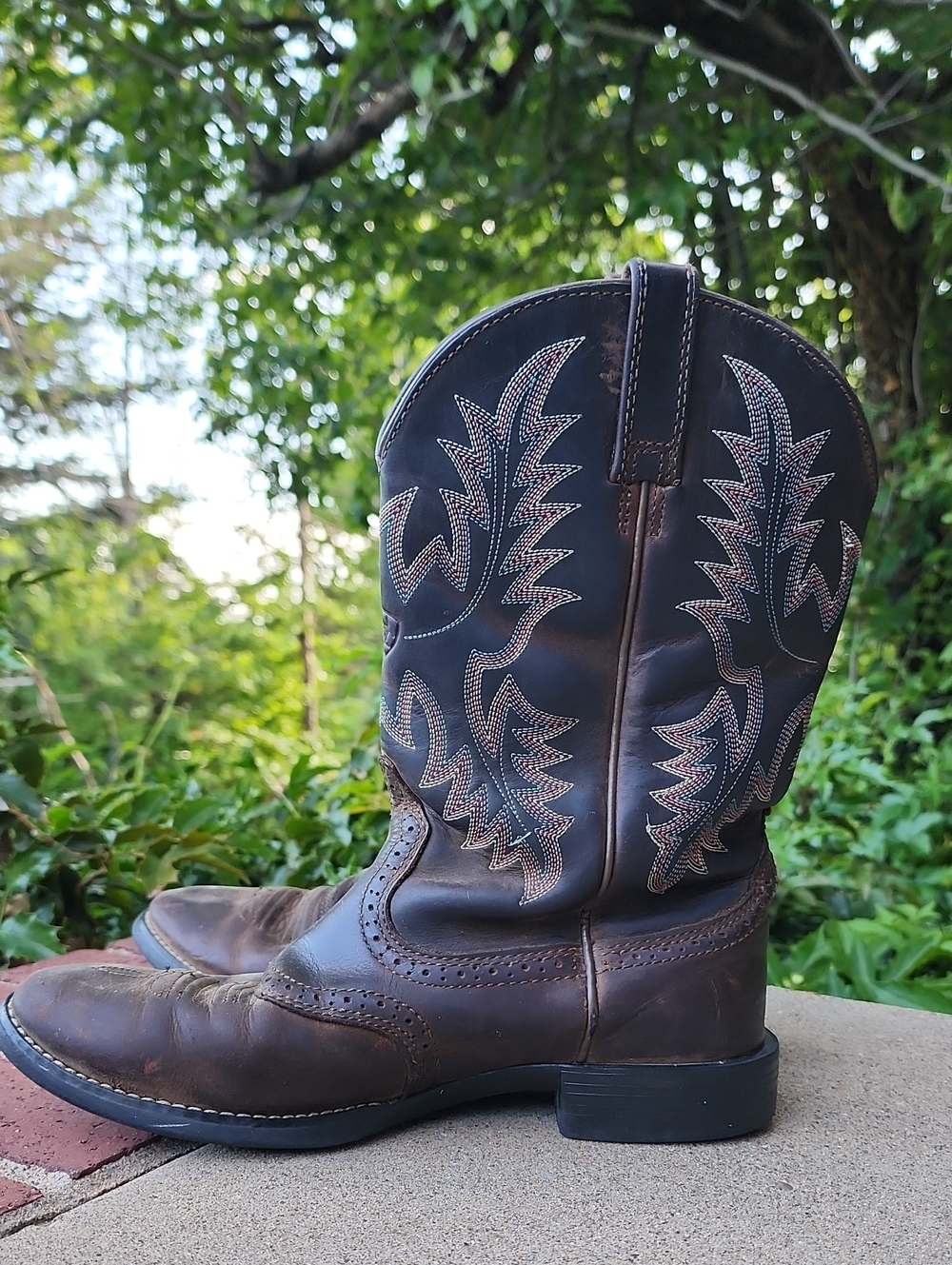 Ariat Womens Brown Leather Western Cowboy Boots